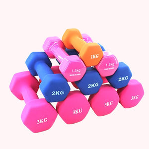 Plastic Dumbbell Weights for Home and Gym