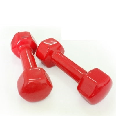 Plastic Dumbbell Weights for Home and Gym
