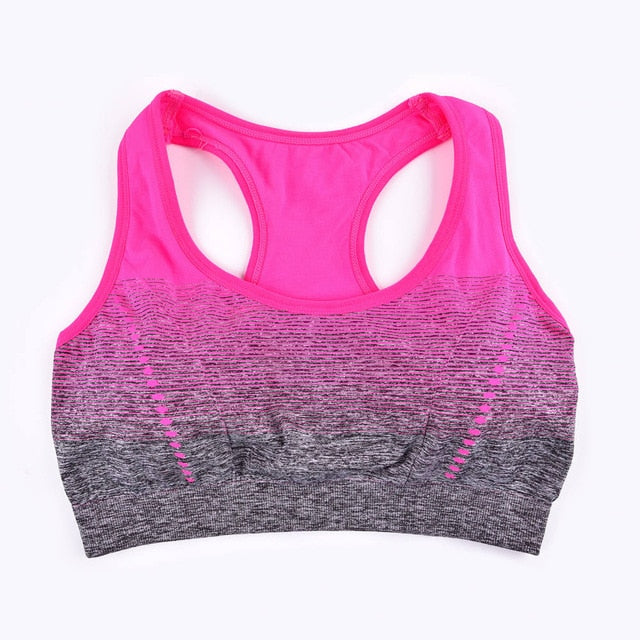 Sports Bra High Stretch Breathable